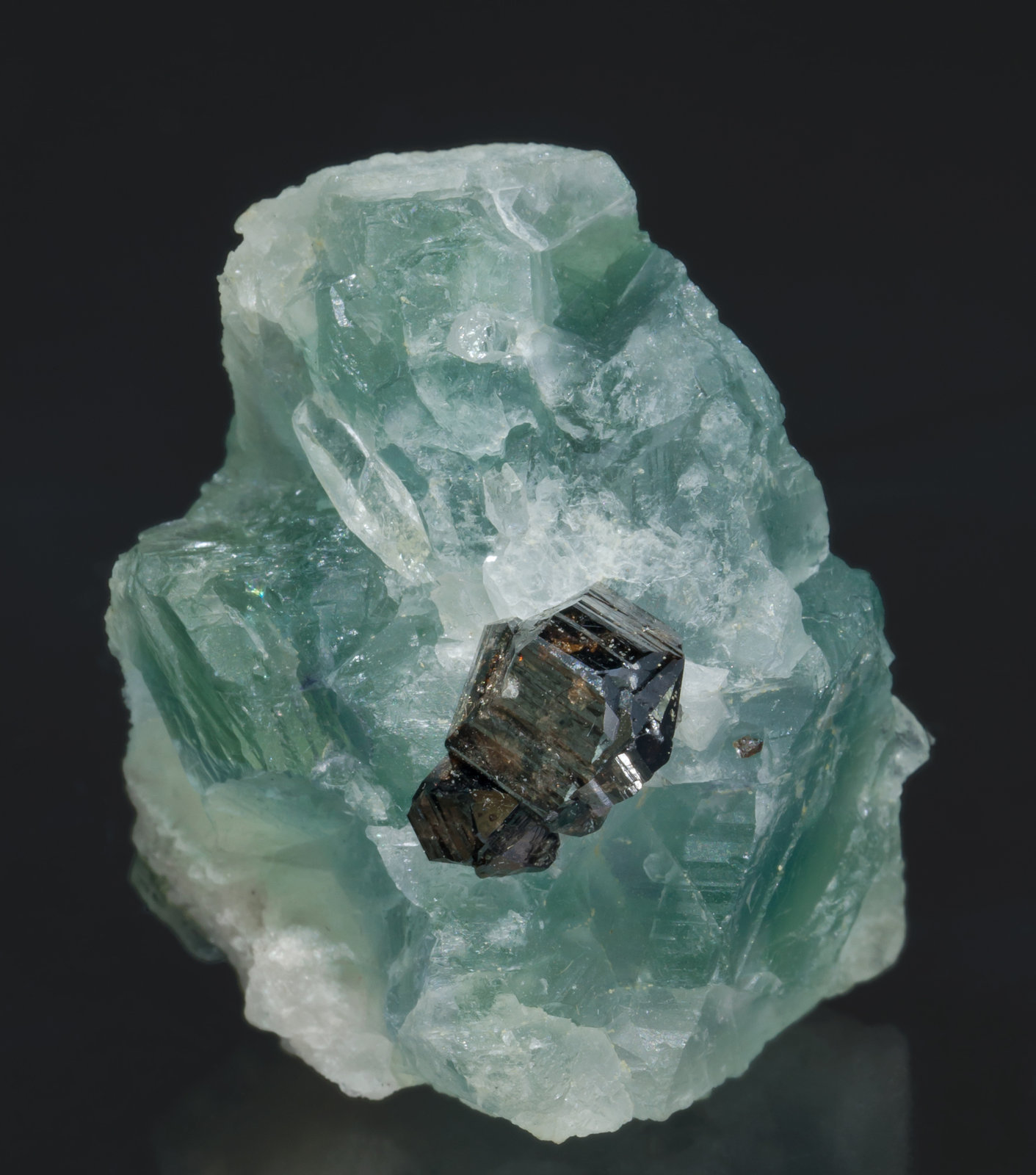 specimens/s_imagesZ8/Fluorite-AF98Z8r.jpg