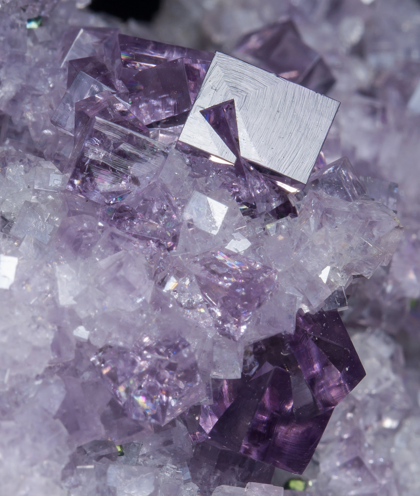 specimens/s_imagesZ8/Fluorite-VC68Z8d2.jpg