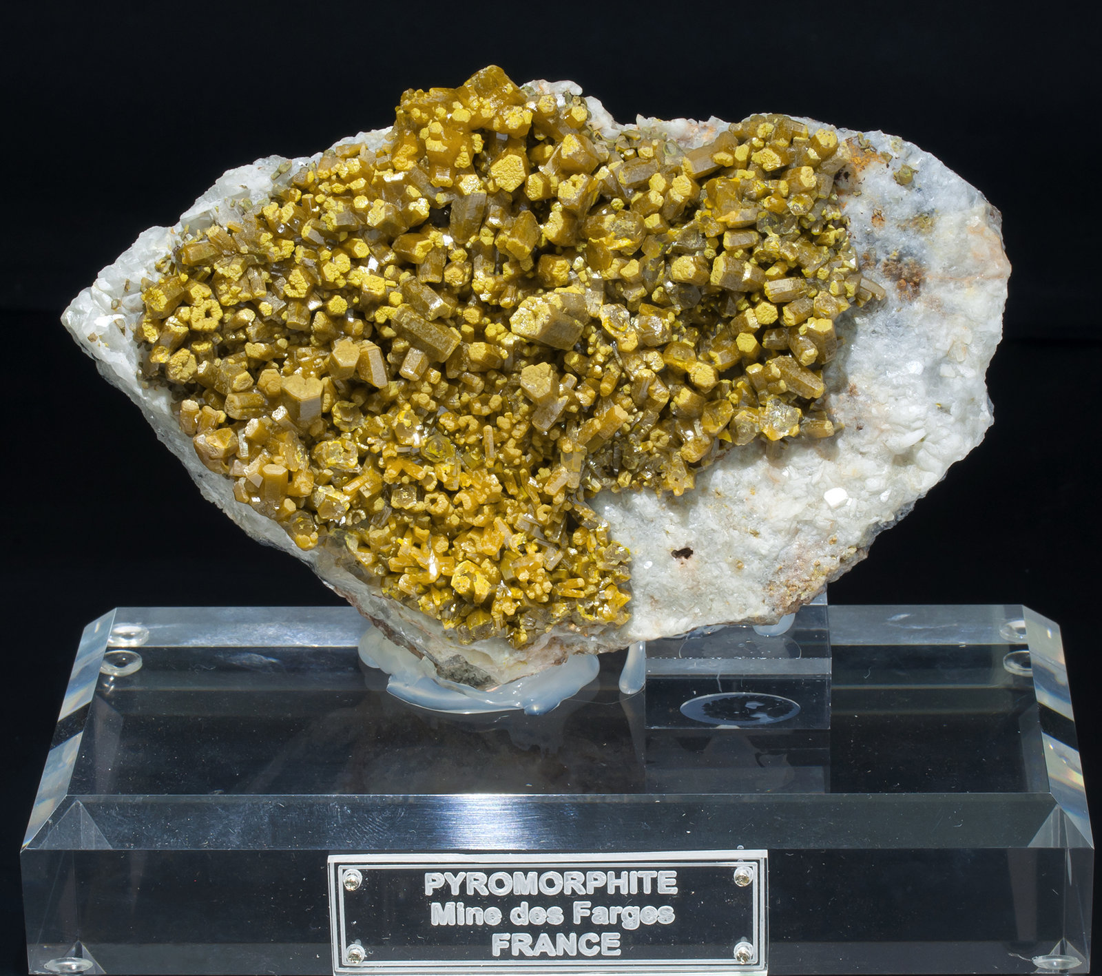 specimens/s_imagesZ8/Pyromorphite-ET74Z8f.jpg