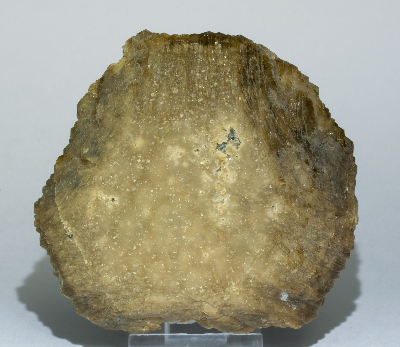 specimens/s_imagesZ8/Siderite-AR47Z8f.jpg