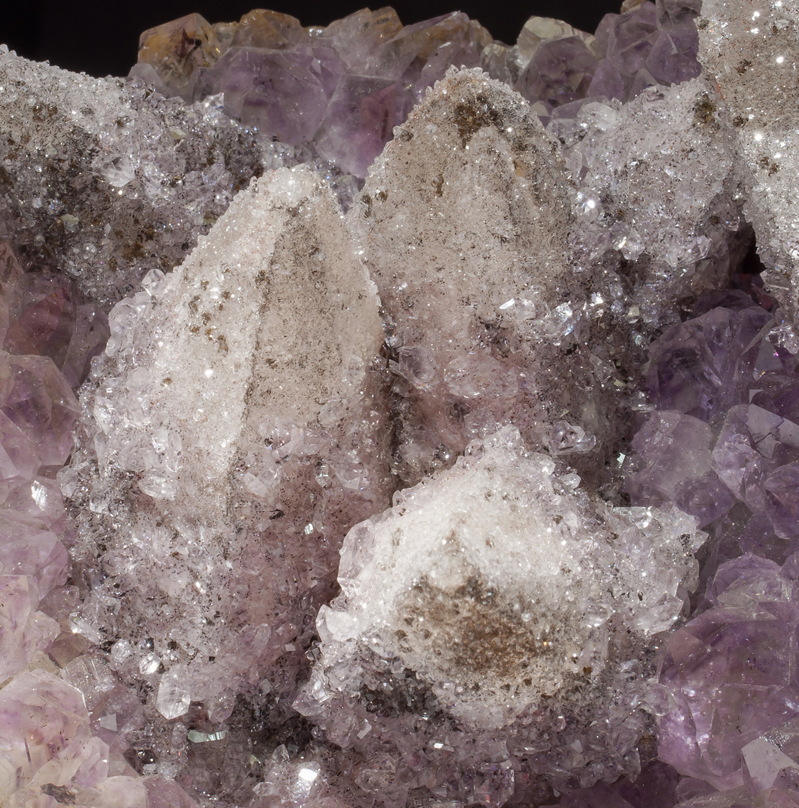 specimens/s_imagesZ9/Calcite-TC93Z9d.jpg