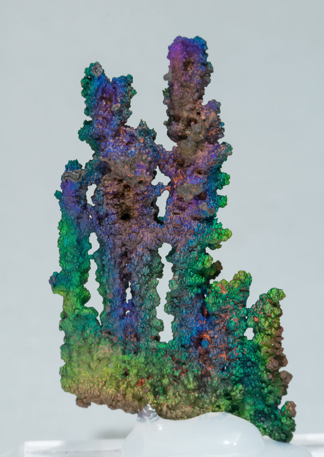specimens/s_imagesZ9/Goethite-FZ62Z9r.jpg