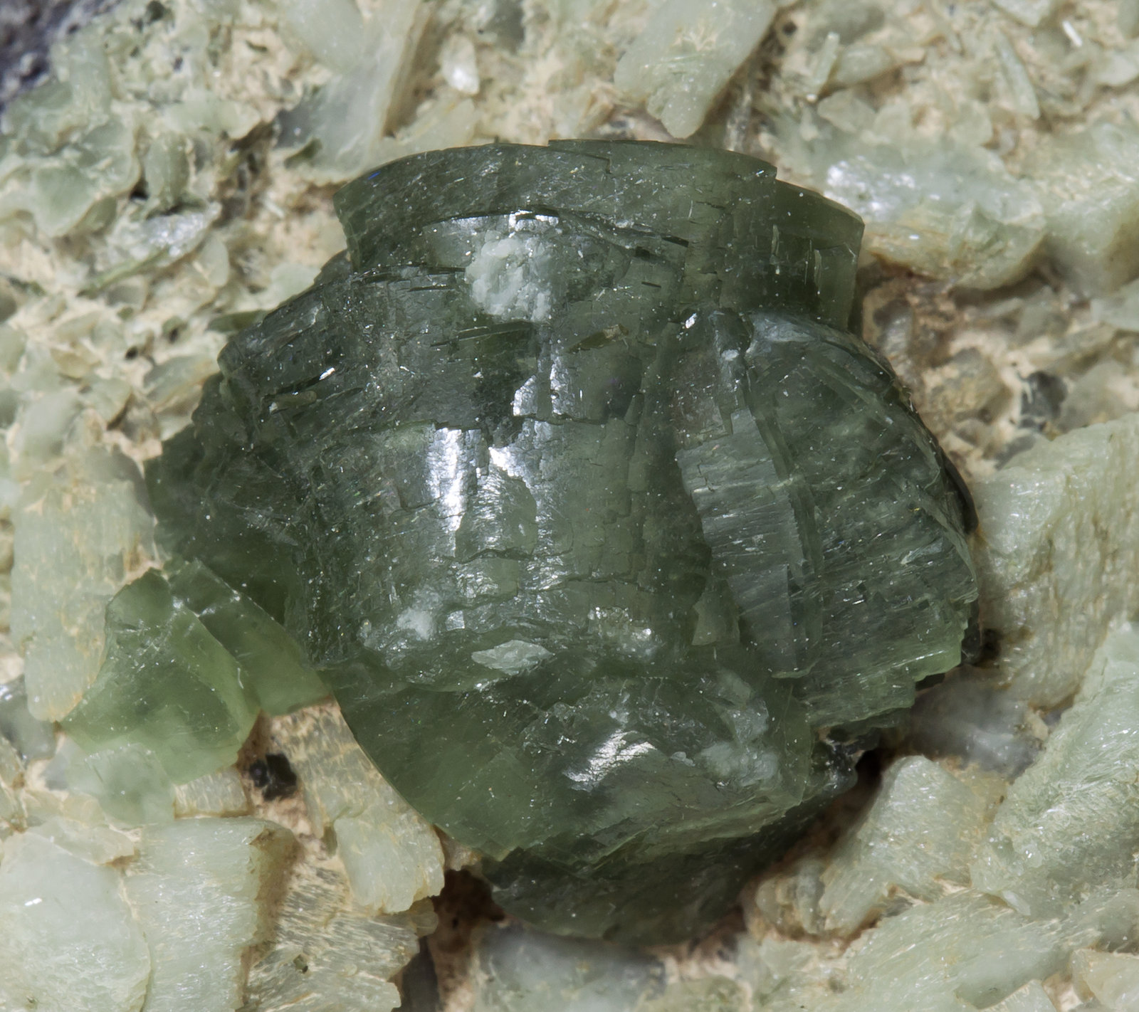 specimens/s_imagesZ9/Prehnite-EQ76Z9d.jpg
